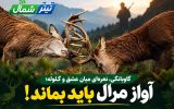 آواز مرال باید بماند!